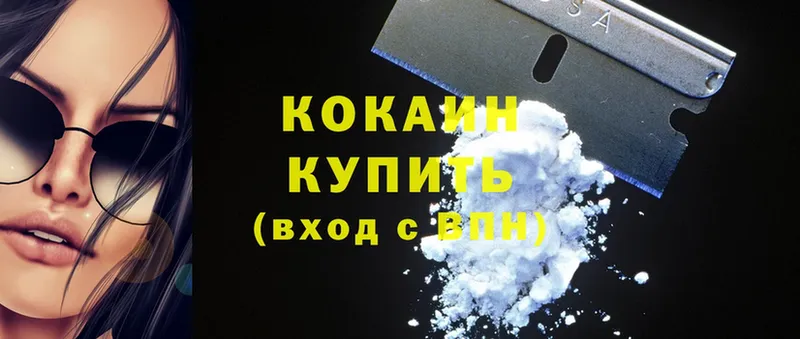 наркотики  darknet как зайти  Cocaine Fish Scale  Кинешма 